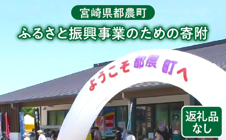 ≪返礼品なし≫宮崎県都農町のふるさと振興事業のための寄附【1口 10,000円】T000-007-10
