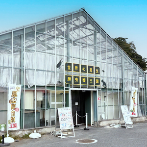東京ドイツ村 入園チケット 1枚＋世界の昆虫爬虫類王国 1日入場引換券 1名様分 [0601]