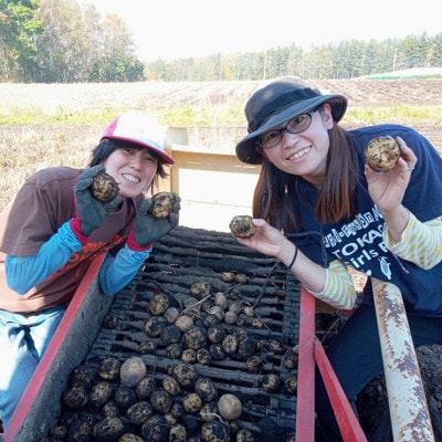 【十勝ガールズ農場】すぐに直送!越冬じゃがいも「レッドムーン」約5kg!【配送不可地域：離島】