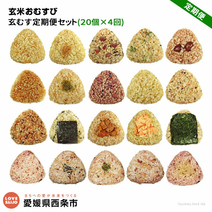 【ふるさと納税】＜玄米 おむすび 定期便 20個×4回＞- おにぎり 冷凍 鶏 チーズ 鮭 カレー 玄米おむすび玄むす屋 かんこめ 愛媛県 西条市 『※翌月末迄に第1回目を出荷』