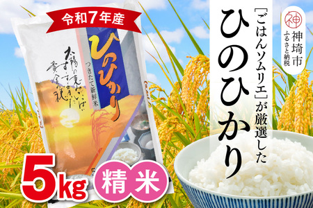 【令和7年産】ごはんソムリエが厳選 白米 ひのひかり 5kg(H063163)