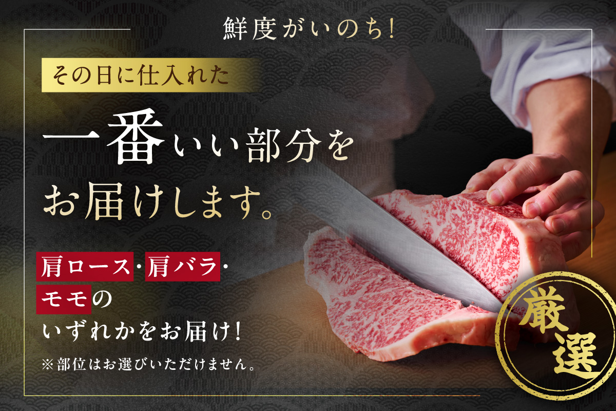 【 佐賀牛 500g 】佐賀牛 艶さし！ しゃぶしゃぶ すき焼き 500g 159-J1366