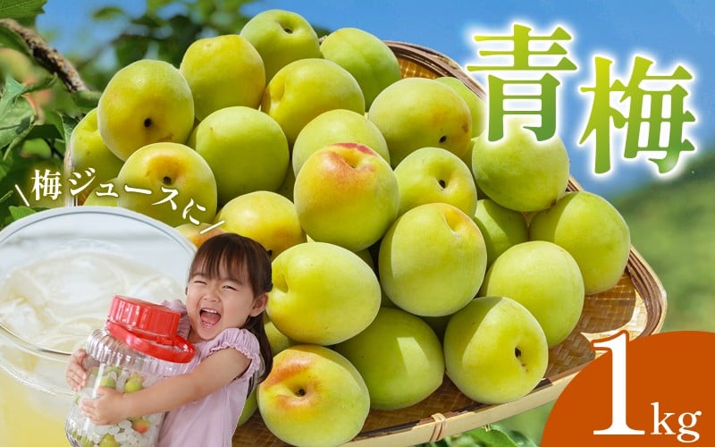 
            【先行予約】【2026/4/30まで】南高梅 青梅 1kg ※2026年5月下旬から順次発送予定※ / 紀州南高梅 梅シロップ 梅ジュース 梅酒 和歌山県 【nak016-1】
          