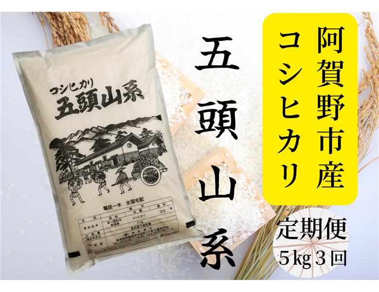 【令和8年産新米】【3回定期便】コシヒカリ 5kg×3回「五頭山系」米屋のこだわり阿賀野市産 1E06035