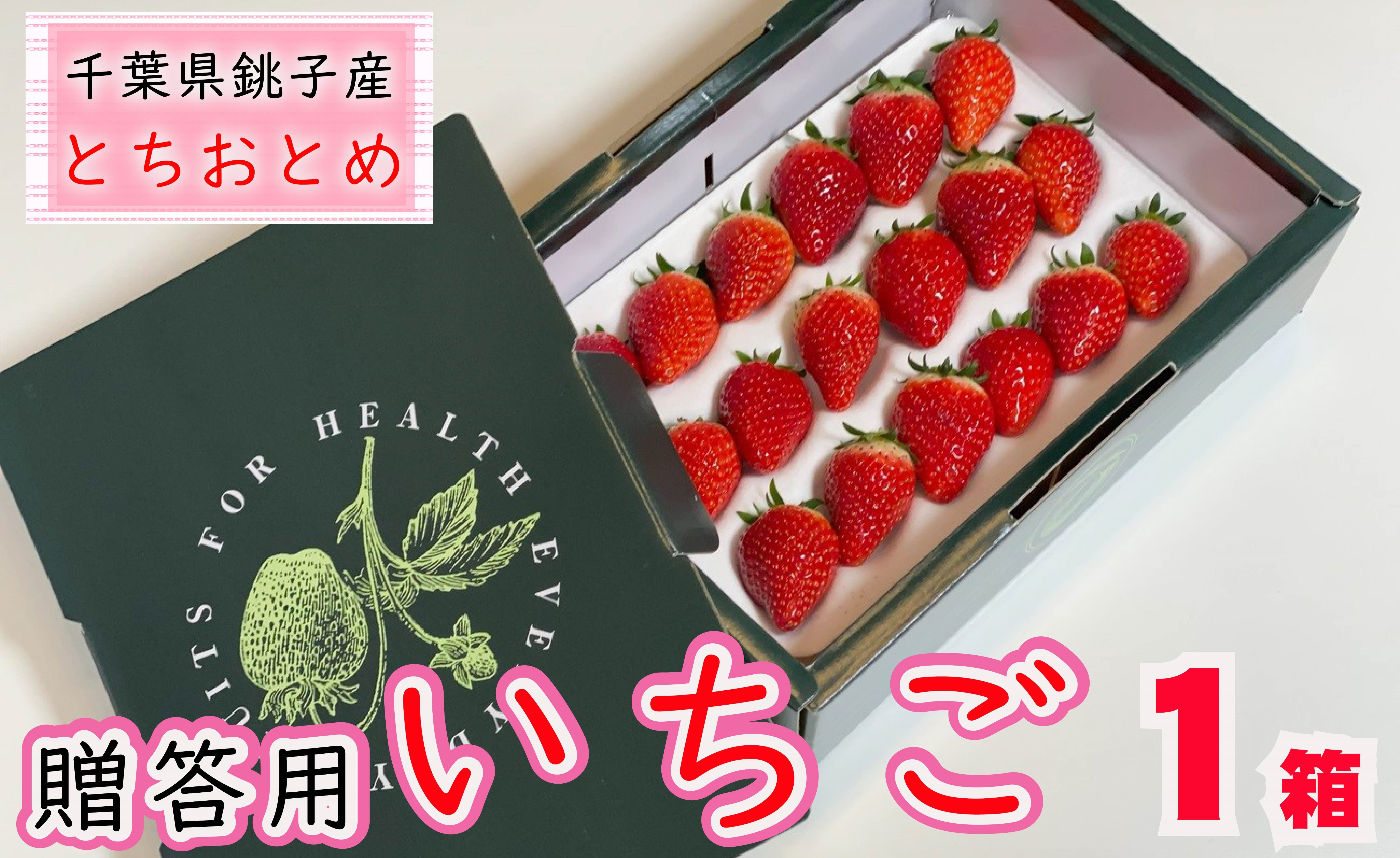 
先行予約 贈答用 いちご とちおとめ 1箱 約400g イチゴ 苺 化粧箱 人気 定番 食べやすい 果物 フルーツ ストロベリー ジャム 朝摘み 採れたて 新鮮 産直 安心安全 期間限定 送料無料 千葉県銚子市
