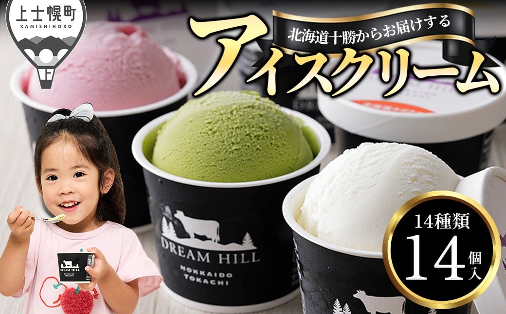 猛暑を乗り切ろう！　配送希望日指定可　ドリームヒル　よくばりアイスクリームセット＜100ml×14ヶ＞