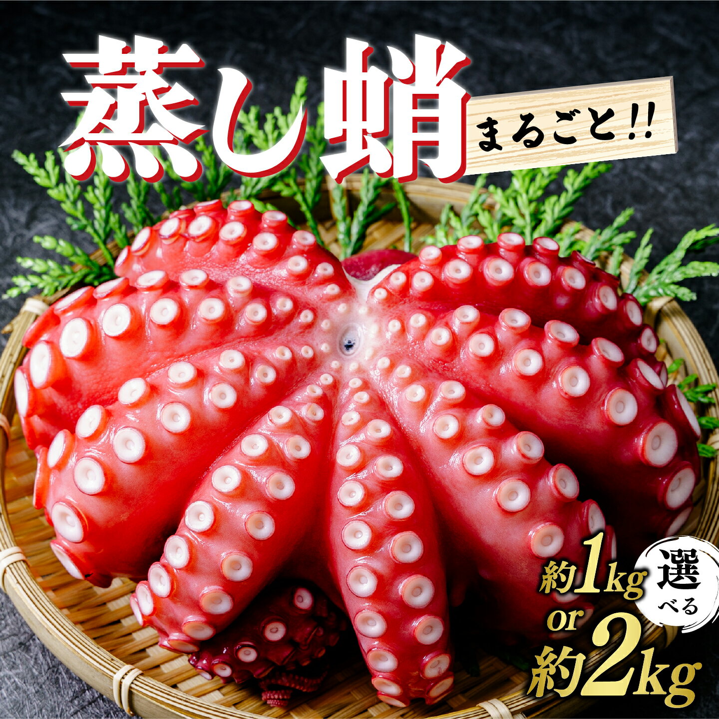 【ふるさと納税】＜要着日指定＞選べる容量！蒸し蛸 まるごと1～2尾(約1～2kg) | 刺身用 茹でダコ タコ たこ 刺身 蛸 1000g ダコ 刺身用タコ ゆでダコ タコ刺し 海鮮 お刺身 人気 ランキング 贈答用 ギフト ふるさと納税 茨城県 ひたちなか市
