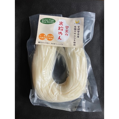 登米の米粉めん 白米麺120g×10食 グルテンフリー【1475716】