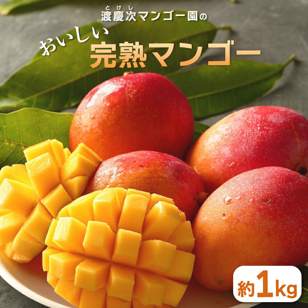 【ふるさと納税】【 先行予約 2026年発送 】完熟マンゴー 1kg 沖縄県産 マンゴー 1キロ 国産 果物 南国 くだもの フルーツ 完熟 夏 旬 特産品 沖縄 取り寄せ 産地直送 農家直送 甘い 濃厚 沖縄 うるま市 渡慶次マンゴー