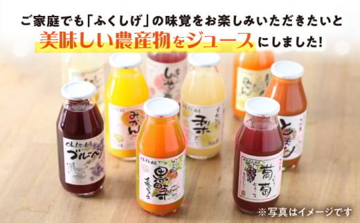 シュシュのジュース180ml×10本セット　定番おシュシュめセット / フルーツ ふるーつ ジュース じゅーす フルーツジュース ドリンク 飲料水 / 大村市 / おおむら夢ファームシュシュ[ACAA
