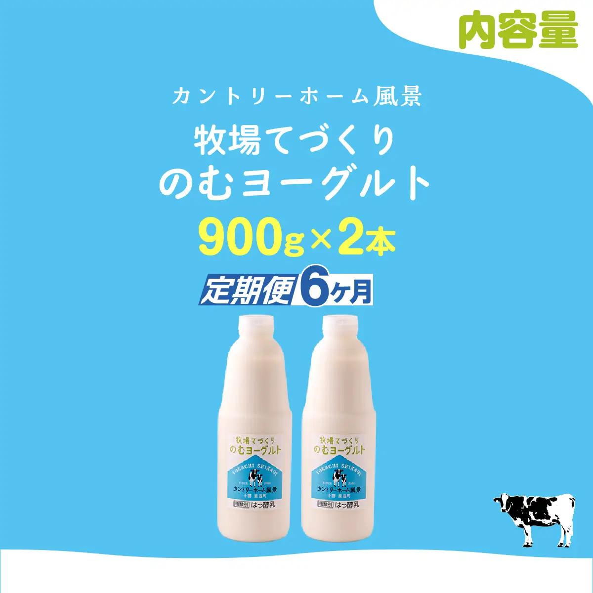 【定期6ヶ月】のむヨーグルト 900g ×2 SKB033