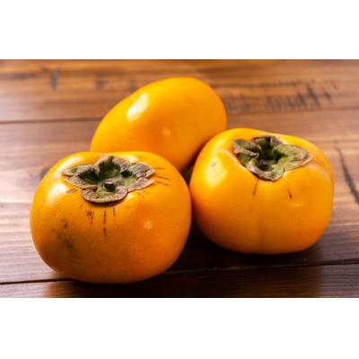 ふるさと納税 八幡浜市 八幡浜産「ひらたねなし柿3kg」「極早生温州みかん3kg」秋の果物よくばりセット【C56-52】 |  | 03