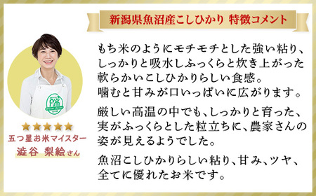 C2-6K05ZA【12ヶ月連続お届け】新潟県魚沼産コシヒカリ5kg（長岡川口地域）