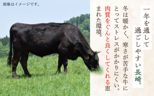 【数量限定】【川棚町で育った】長崎和牛 サーロインステーキ 約230g×2枚 総量460g【川下精肉店】 [OAA012] / 牛肉 冷凍 鉄板焼 長崎県産 和牛 国産牛 焼肉 BBQ にく 肉 ステ