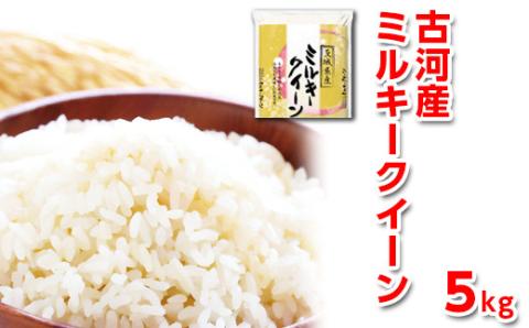 【新米】令和7年産 古河産ミルキークイーン（5kg） | 米 こめ コメ 5キロ ミルキークイーン みるきーくいーん 古河市産 茨城県産 贈答 贈り物 プレゼント 茨城県 古河市 直送 産地直送 送料無料 ※2025年9月中旬頃より順次発送予定 _DP08