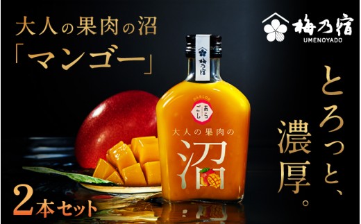 
                  大人の果肉の沼 「マンゴー」 2本セット ／ 梅乃宿酒造 お酒 リキュール マンゴー 果物 果実酒 宅飲み ギフト 人気 お祝い プレゼント 奈良県 葛城市【umyd067】
                