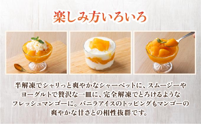 冷凍美ら姫マンゴー 1kg（500g×2袋）CB-3 1kg