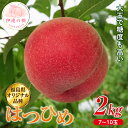 【ふるさと納税】2025年出荷分 先行予約福島県産 はつひめ 2kg 2025年7月上旬〜2025年7月中旬発送 先行予約 予約 伊達の桃 オリジナル品種 桃 もも モモ 果物 くだもの フルーツ 国産 食品 F20C-371