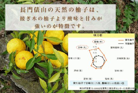 (12027)ゆずづくしセット 実生ゆず 柚子茶 柚子酢 ゆずネード 俵山 長門市