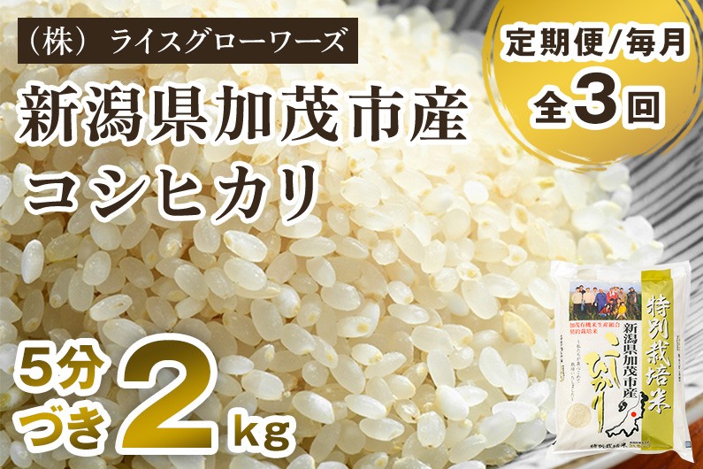 
                  【令和8年産新米先行予約】【定期便3回毎月お届け】【5分づき】新潟県加茂市産 特別栽培米コシヒカリ 精米2kg《10月上旬～順次出荷》 従来品種コシヒカリ （株）ライスグローワーズ
                
