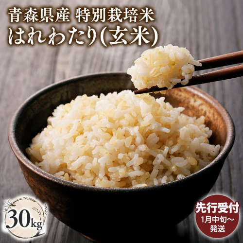 ≪令和8年産 先行予約≫1月中旬よりお届け! 　特別栽培米 はれわたり玄米30kg(10kg×3袋)【青森県 平川市】先行予約 米 お米 玄米 青森県産 産地直送 おにぎり 朝ご飯 冷めてもおいしい ご飯  コメ こめ 白米 ごはん ブランド米 特A 特A米 お取り寄せ グルメ