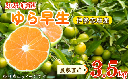 【2026年10月中旬～発送】 ゆら早生みかん 3.5kg ※先行受付【tmkn_005】