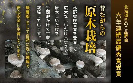 【先行予約】2026年8月以降順次発送 原木栽培 生椎茸 約1kg 里の恵 しいたけ シイタケ きのこ キノコ 椎茸 野菜  F21X-575