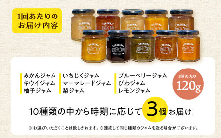 【12回定期便】季節の果実ジャム 3個（各120g） 長与町/アグリューム [EAI091]  瓶 セット ジャム
