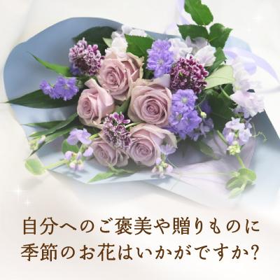 ふるさと納税 大分市 【毎月お届け定期便】季節の花束 旬のお花をお届けします ≪12回お届け≫_T10054 |  | 01