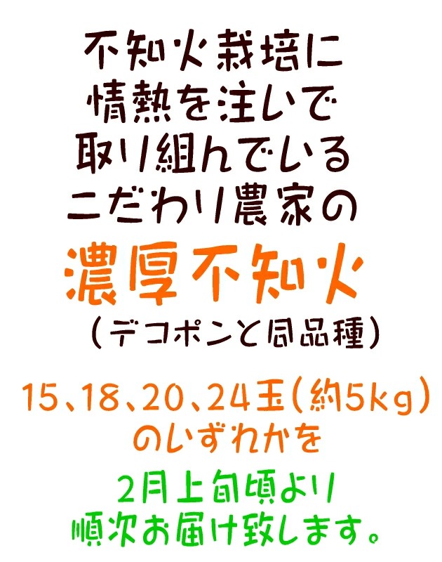 【先行予約】こだわり農家の濃厚不知火（デコポンと同品種） 15～24玉（約5kg）| デコポン 不知火 でこぽん しらぬい 柑橘 5kg 果実 フルーツ 先行予約 冬 農家直送 濃厚 ※北海道・沖縄・離島への配送不可※2026年2月上旬～3月下旬頃に順次発送予定