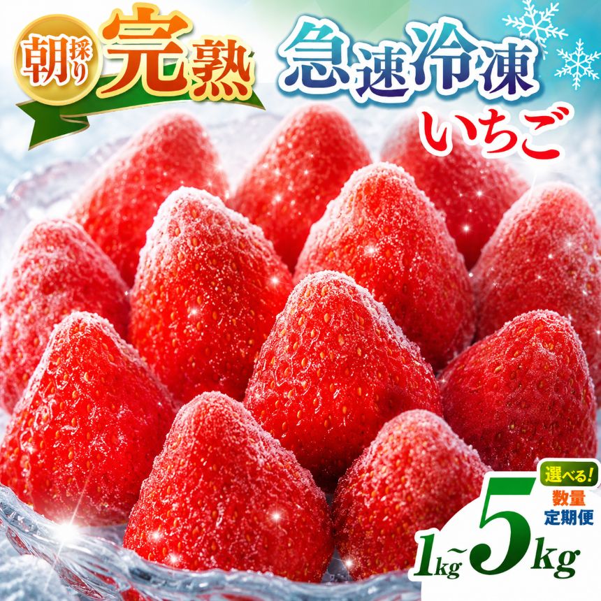 【ふるさと納税】≪5kg≫新登場！ 急速冷凍 完熟 冷凍いちご 1~5kg 選べる 定期便 ミックス | 国産 冷凍イチゴ 渡邉いちご園 果物 フルーツ スムージー くだもの いちご ヘタなし イチゴ 苺 冷凍 いちご 1kg 2kg 3kg 4kg 5kg1回 3回 6回 イチオシ 千葉 君津 きみつ