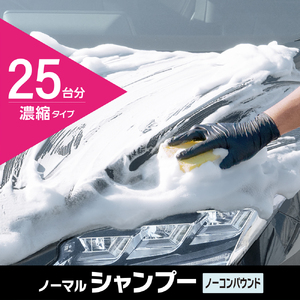 ジオセラミック シャンプー 晴香堂 HARUKADO カーオール 車用洗車用品