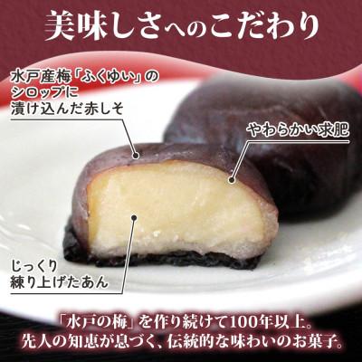 ふるさと納税 水戸市 水戸の梅　1箱(5個入)【水戸産梅ふくゆい使用の和菓子】茨城県 水戸市 |  | 02