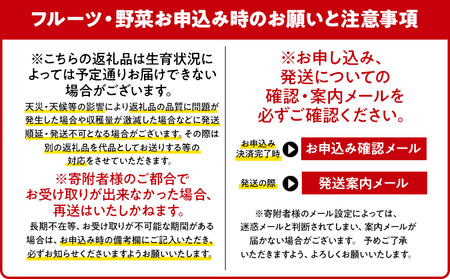 【先行予約】　朝採り直送　夏芽グリーンアスパラガス（３L）１kg　BT05