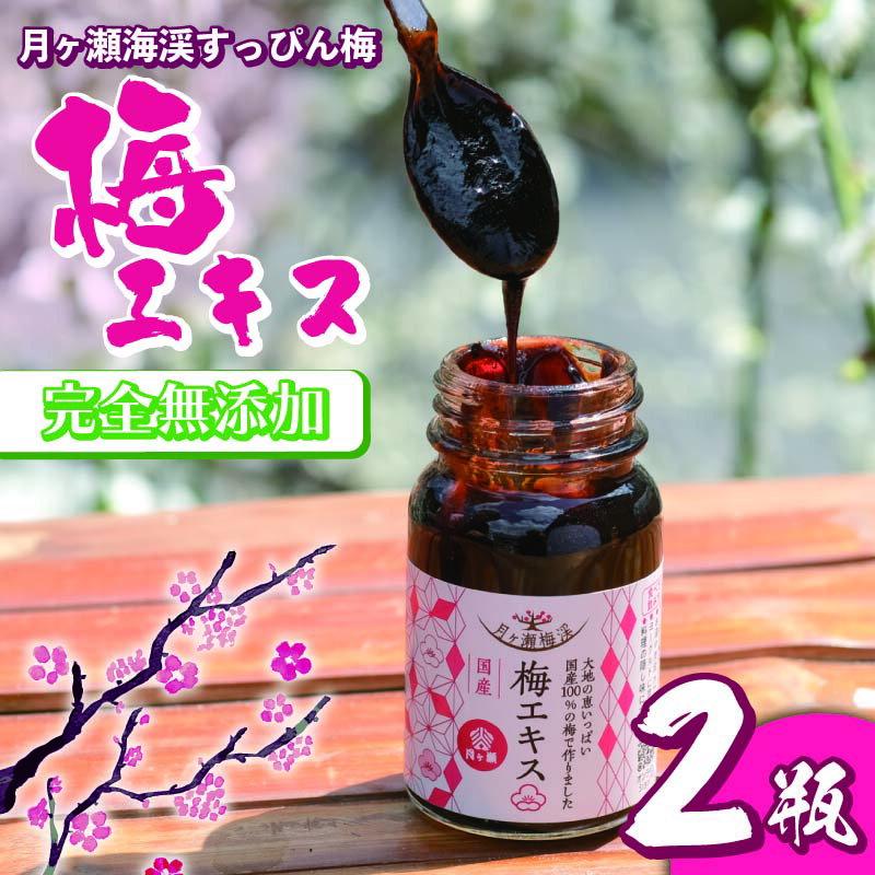 【ふるさと納税】月ヶ瀬梅渓名産 梅エキス 65g×2本 無添加 青梅果汁のみ使用 うめぼし うめ干し 梅 ume 紫蘇 漬け 赤紫蘇 赤しそ 農家直送 産地直送 数量限定 国産 奈良県 奈良市 なら H-91