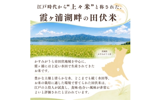 令和8年産 新米 田伏米のコシヒカリ 精米 10kg(1袋) | こしひかり お米 かすみがうら市【1778893】