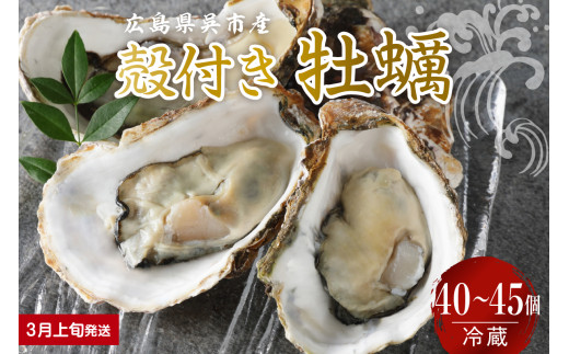 【2026年3月上旬発送】宮原水産 かき 殻付き 40～45個