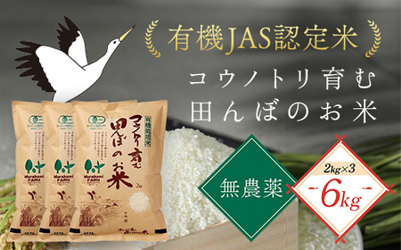 【先行予約 令和8年産】無農薬 有機JAS認定米 コウノトリ育む田んぼのお米 2kg×3袋 〈村上ファーム〉