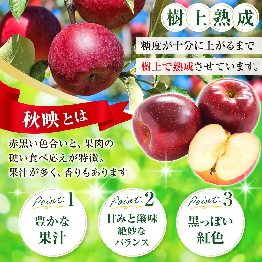 フルーツファーム中村農園　【10月上旬発送 先行予約】樹上熟成　秋映 5kg | りんご 秋映 りんご