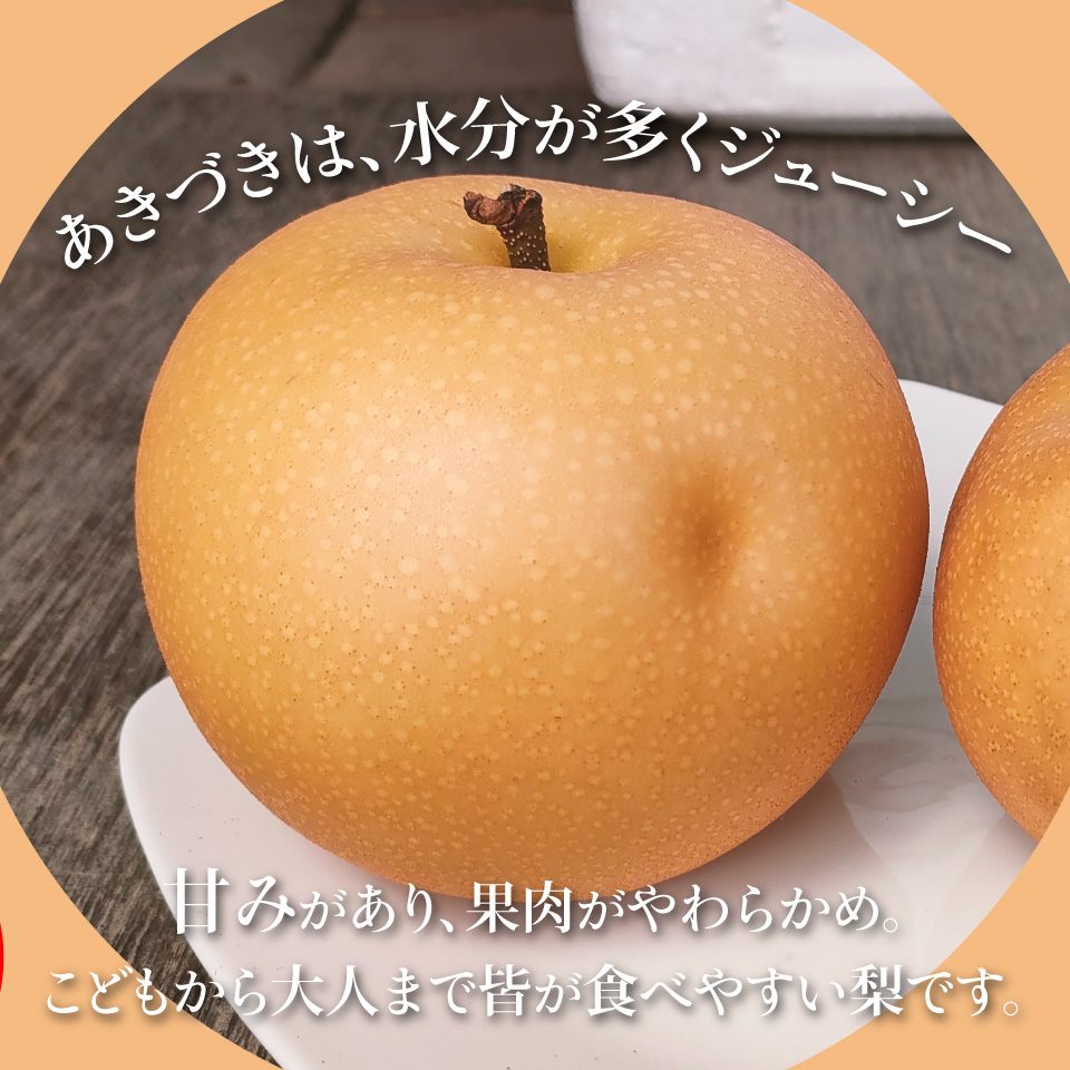 <2026年9月中旬頃より発送予定>　訳あり 規格外 あきづき梨 3kg（4～7玉）