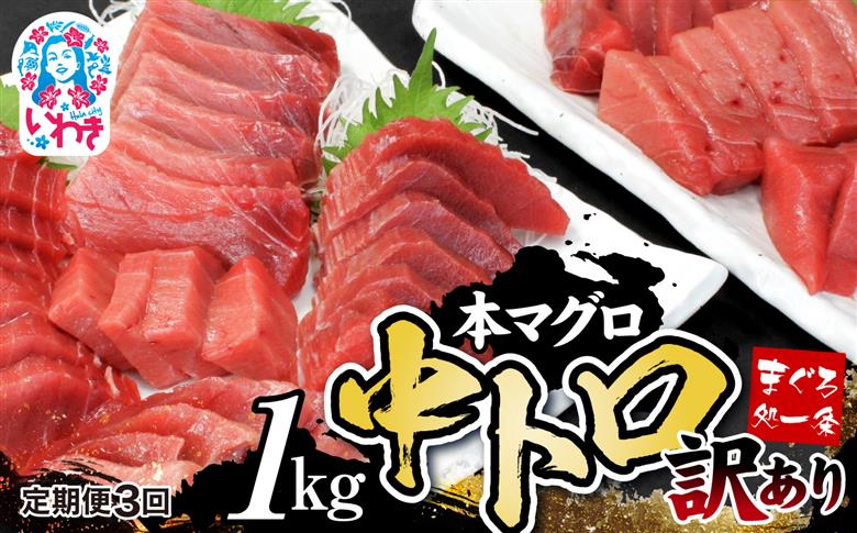 【定期便/計3回】訳あり 本マグロ 中トロ 1kg | まぐろ マグロ 中トロ 約6～8人前 本まぐろ 解凍レシピ付 鮪 海鮮丼 刺身 寿司 鉄火丼 （計3kg）【DG007-t3】