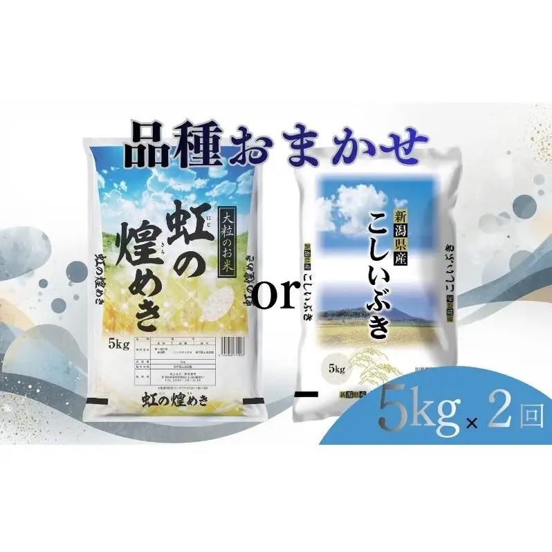 【8月下旬より配送】 新潟県産 品種おまかせ 5kg  2か月定期便 新潟県 新潟市産 令和7年産 お米 精米 米 ご飯 送料無料
