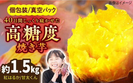 紅はるか（甘太くん）焼き芋 約1.5㎏ /愛まんてん[UBD008]