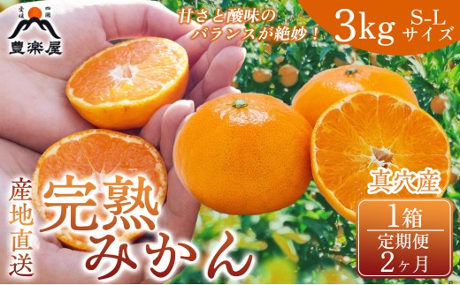【定期便2ヶ月】【みかん本来の甘みを農家直送でお届け！】果汁たっぷり真穴産みかん 完熟みかん 3kg サイズS~L 1箱　全2回【98-22】ふるさと納税 みかん ミカン フルーツ くだもの 果物 産地直送 愛媛県 八幡浜市 送料無料 YWTBU021