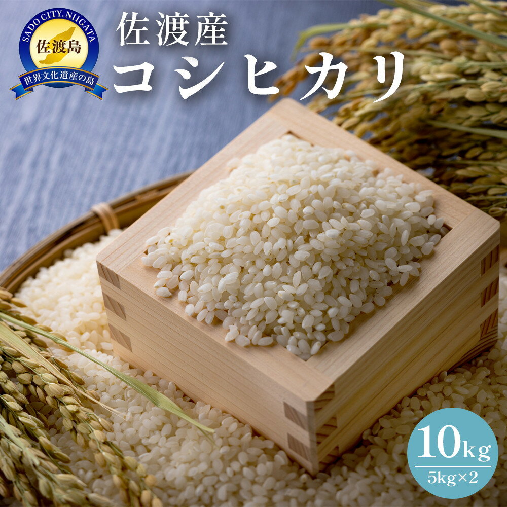 【ふるさと納税】佐渡島産　コシヒカリ　10kg（5kg×2）　令和7年産 | お米 こめ 白米 食品 人気 おすすめ 送料無料