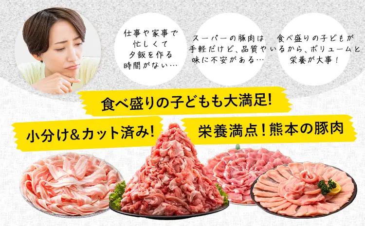 豚肉 バラエティセット 4.6kg 豚肉 バラ肉 訳あり