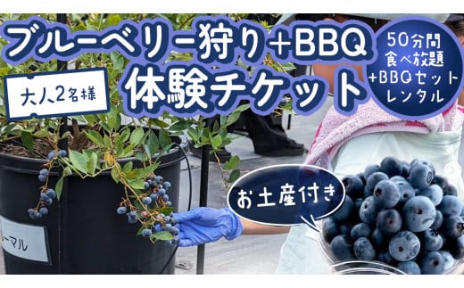 【寄附受付は2025年8月5日まで】 ブルーベリー狩り ＋ DAYキャンプ 体験チケット 《大人２名様プラン レンタルBBQ道具＋お土産付き》 ブルーベリー ベリー 食べ比べ  食べ放題 収穫 収穫体験 キャンプ BBQ バーベキュー 肉 旅行 レンタル 体験 チケット 招待券 レジャー 観光 ふれあい お土産 おみやげ 持ち帰り テイクアウト 多品種 果実 果物 くだもの [DZ013sa]	