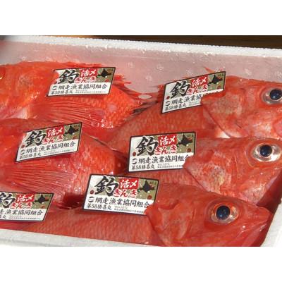 ふるさと納税 網走市 オホーツク海網走産 生冷凍釣りキンキ 2尾(合計1kg) |  | 01
