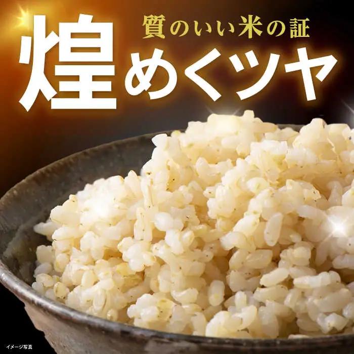 米 コシヒカリ JASオーガニック 10kg 玄米 [AQBL004]こしひかり