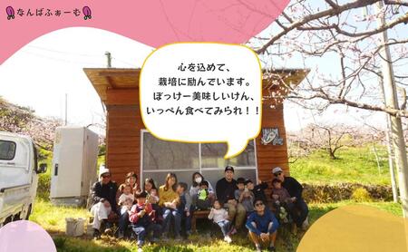 【2025年先行予約】［なんばふぁーむ］岡山県産 黄金桃 2.0kg（6～9玉）［ご家庭用］